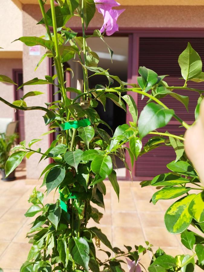 Vivienda Vacacional Compartida Radazul住宿加早餐旅馆 外观 照片
