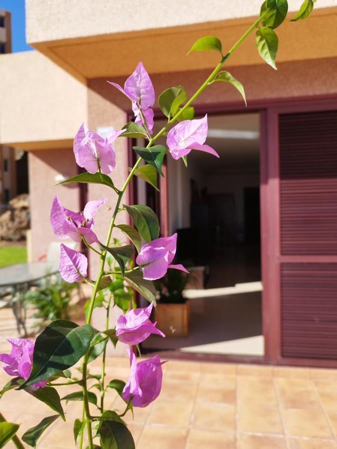 Vivienda Vacacional Compartida Radazul住宿加早餐旅馆 外观 照片
