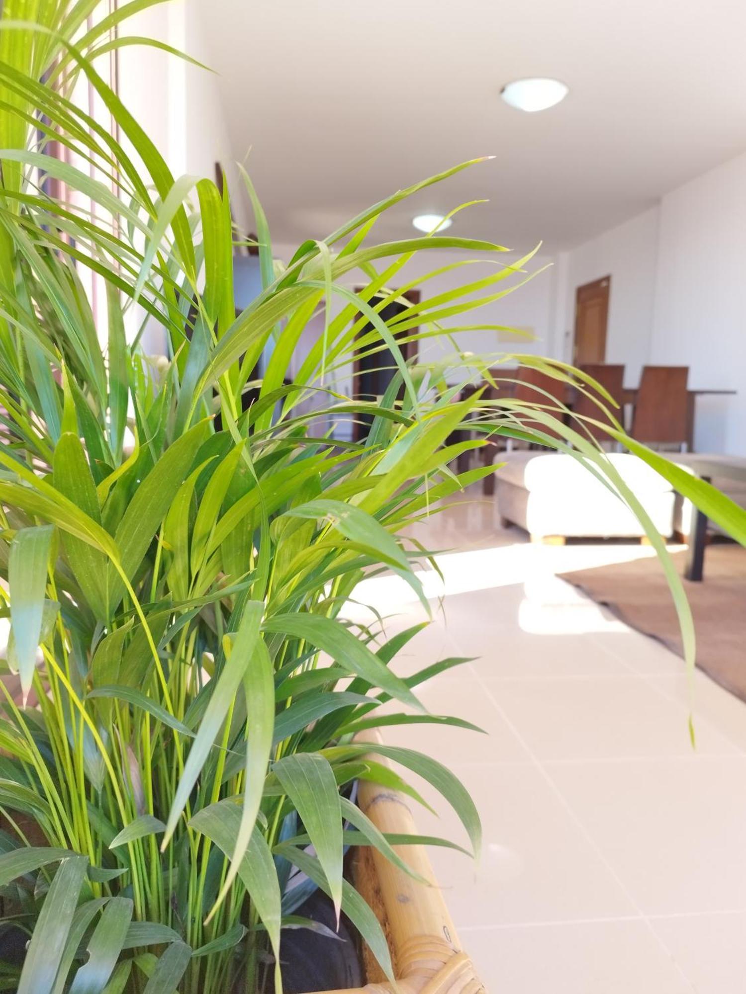 Vivienda Vacacional Compartida Radazul住宿加早餐旅馆 外观 照片